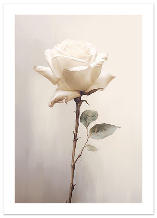 White rose painting