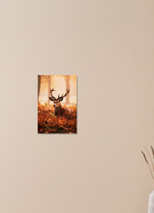 Deer in fall woods poster