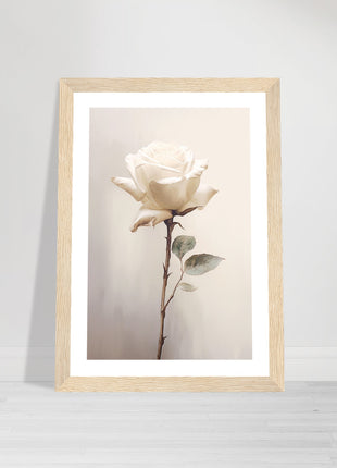 White rose painting