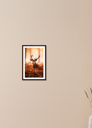 Deer in fall woods poster