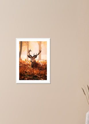 Deer In Fall Wood Poster