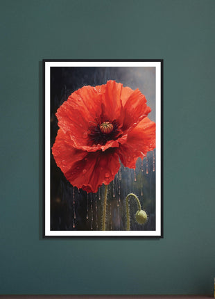 Poppy in the rain poster