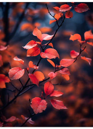 Red leaves in fall photograph poster