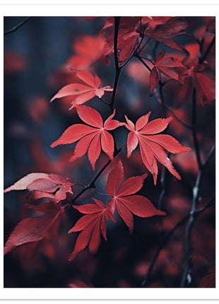 Red leaves in fall poster