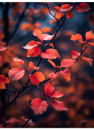 Red leaves in fall photograph poster