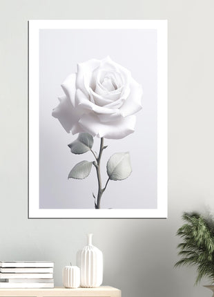 White rose photograph poster