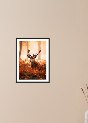 Deer in fall woods poster