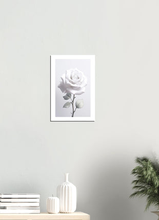 White rose photograph poster