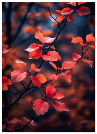 Red leaves in fall photograph poster