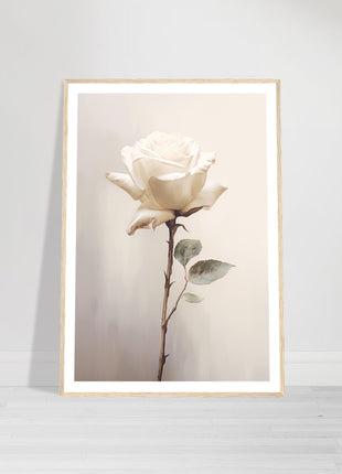 White rose painting