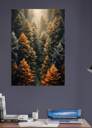 Fall woods  poster