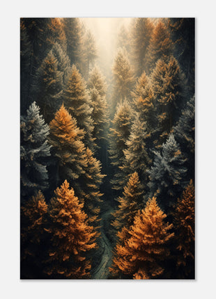 Fall woods  poster