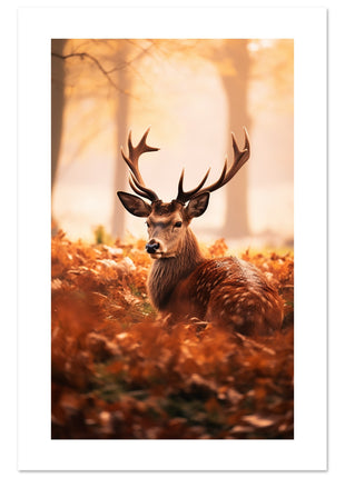 Deer in fall woods poster