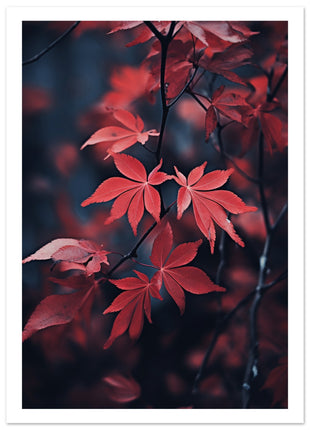 Red leaves in fall poster