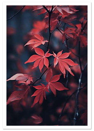 Red leaves in fall poster