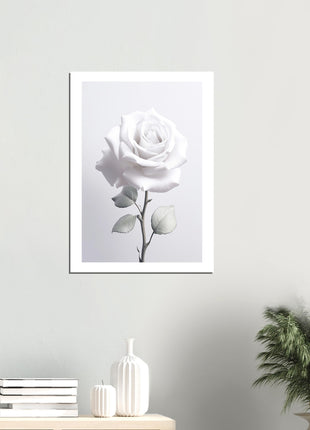 White rose photograph poster