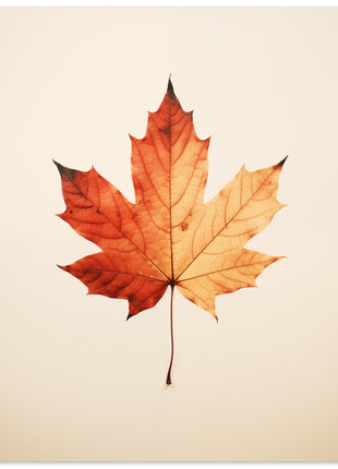 Fall leaf - Fall poster