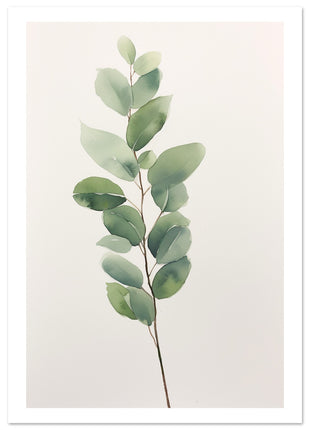 Eucalyptus branch poster