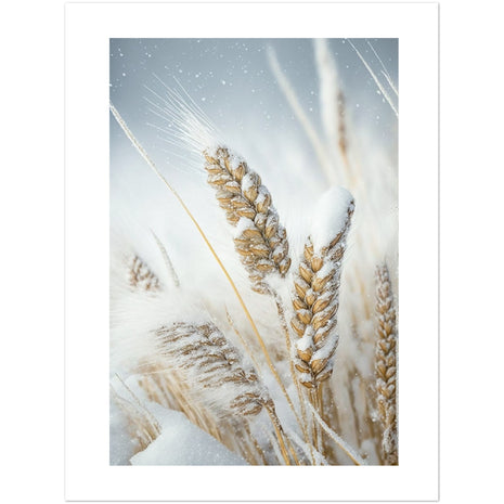 Winter Wheat Poster